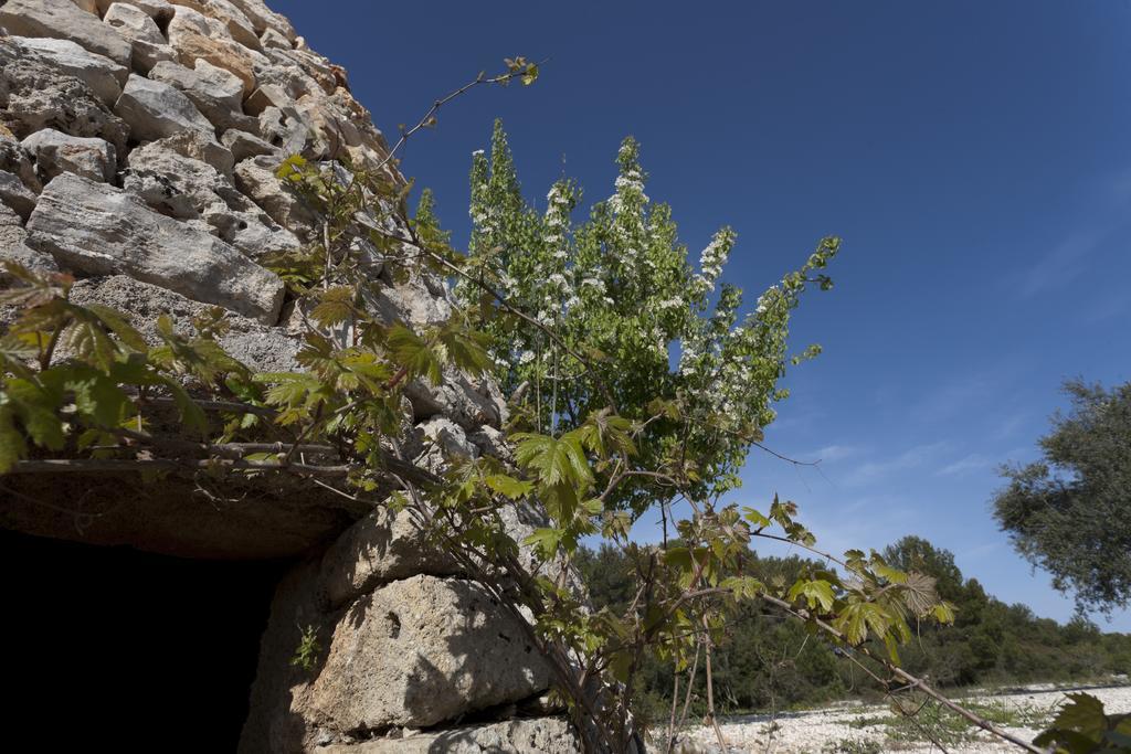 Borgo Del Sole Guest House Morciano di Leuca Exterior photo